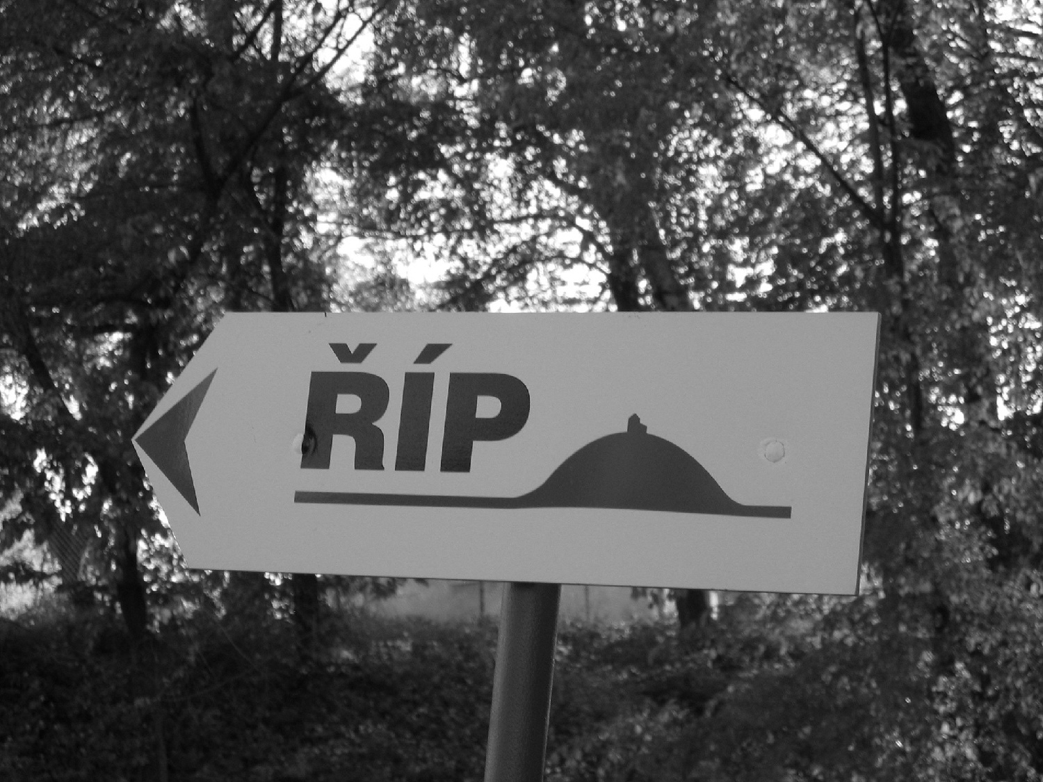 Im000073-kopie Im000073-kopie