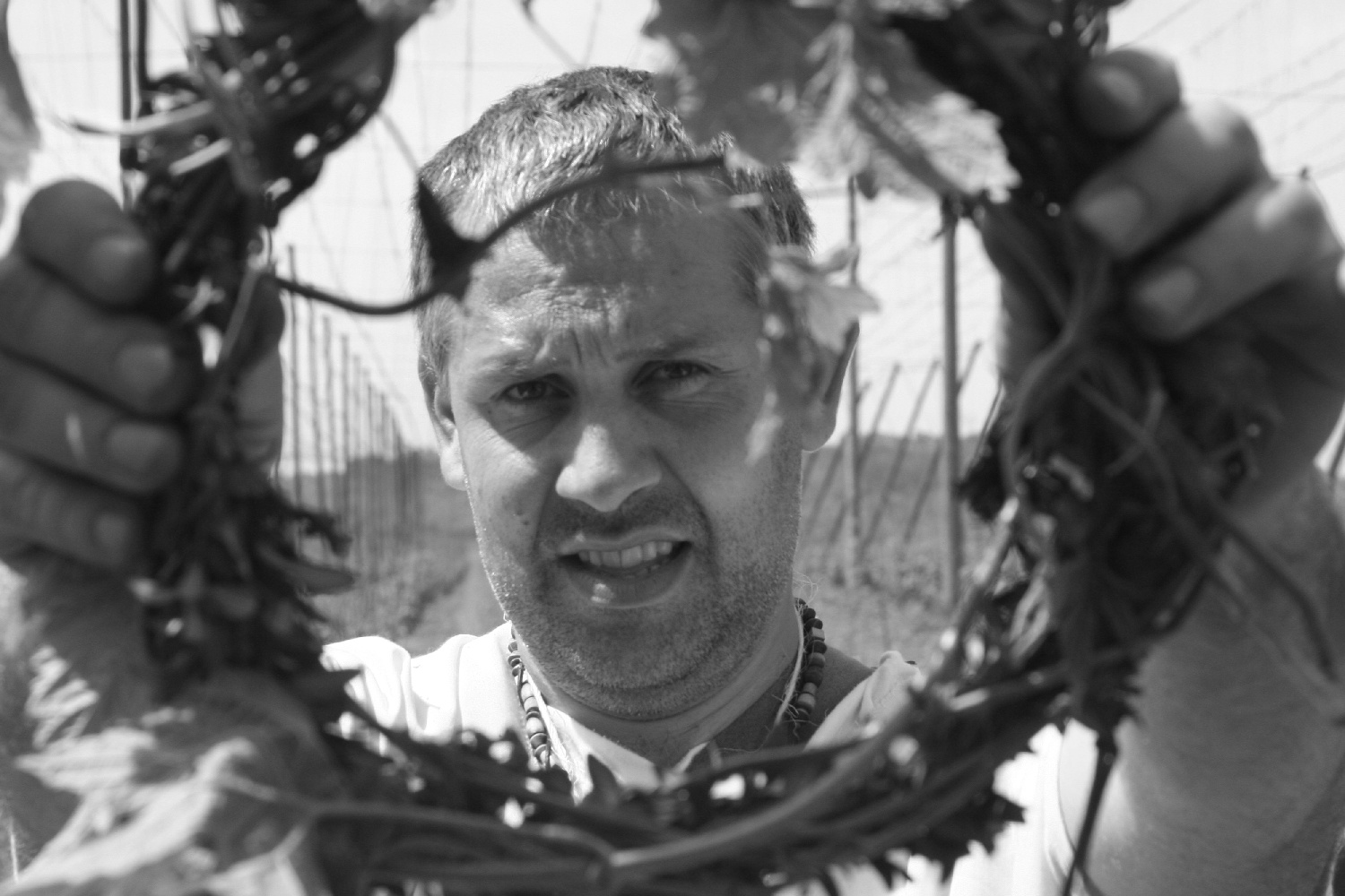 Im000179-kopie Im000179-kopie